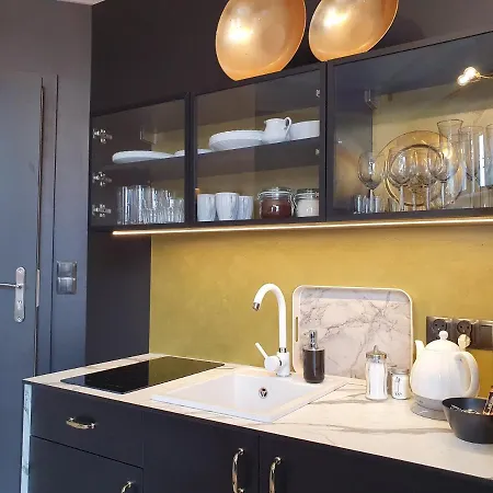 Dk Premium Srodmiescie Appartement Olsztyn (Warmian-Masurian)